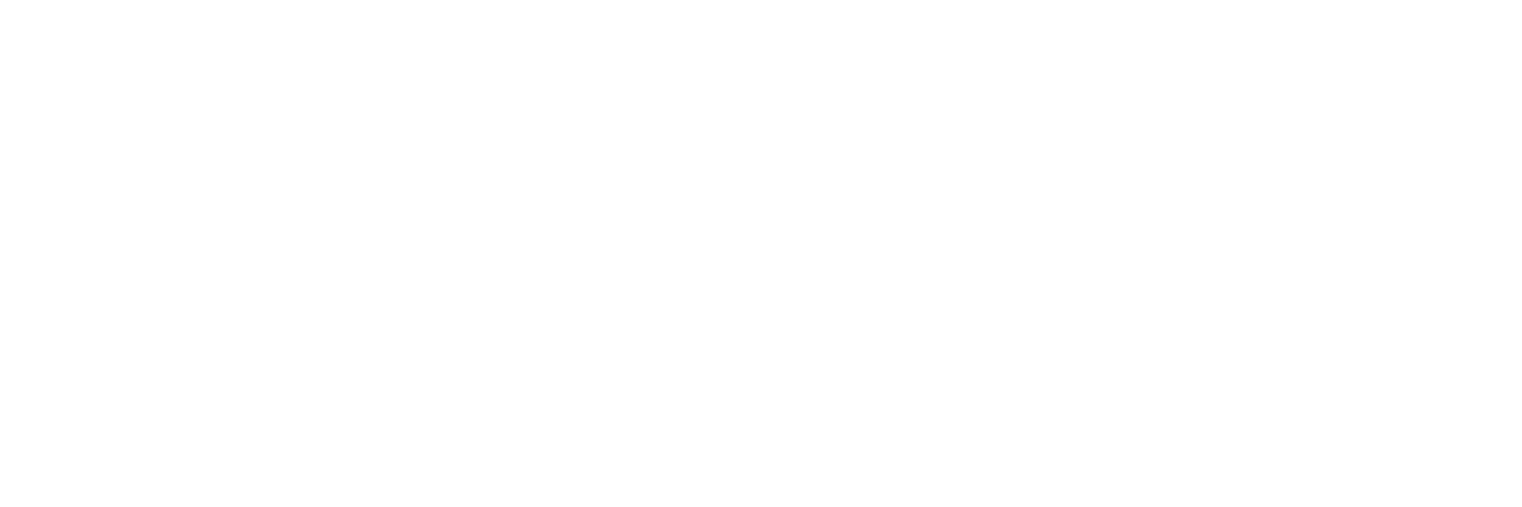 Torok Logo